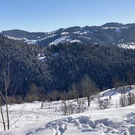 Pensiunea Amalia Gîrda de Sus Exterior foto
