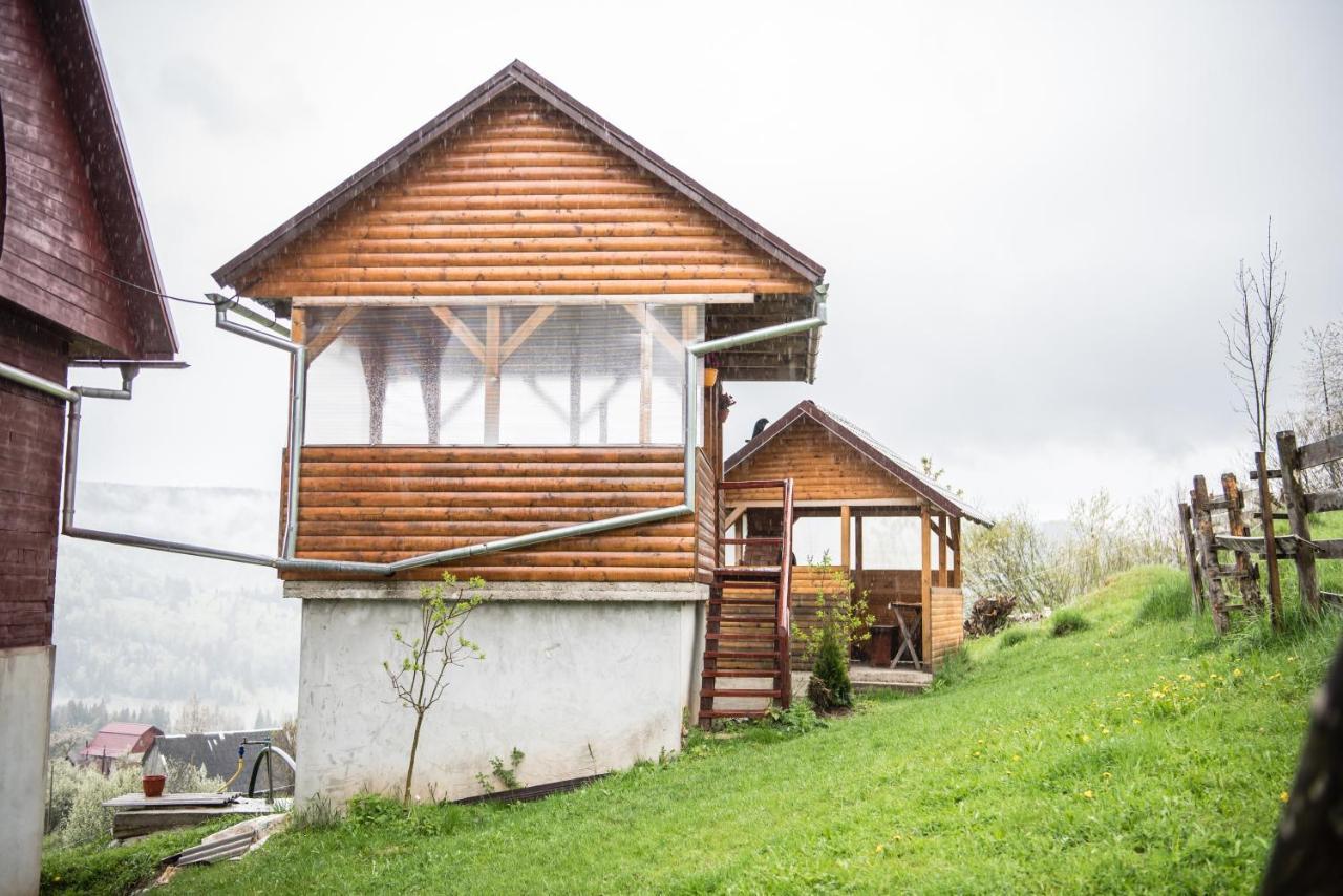 Pensiunea Amalia Gîrda de Sus Exterior foto