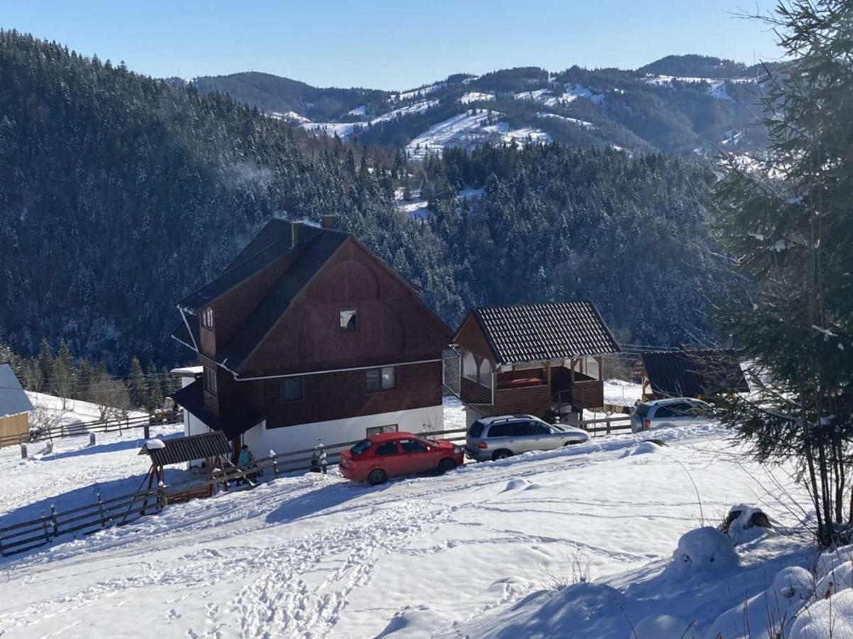 Pensiunea Amalia Gîrda de Sus Exterior foto
