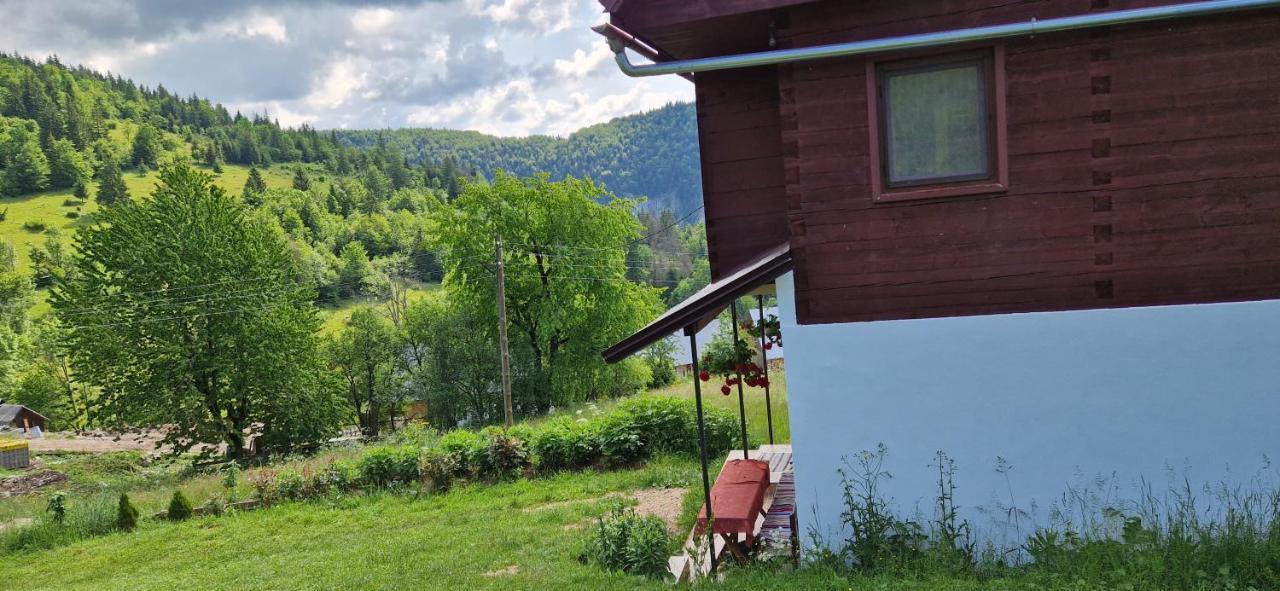 Pensiunea Amalia Gîrda de Sus Exterior foto