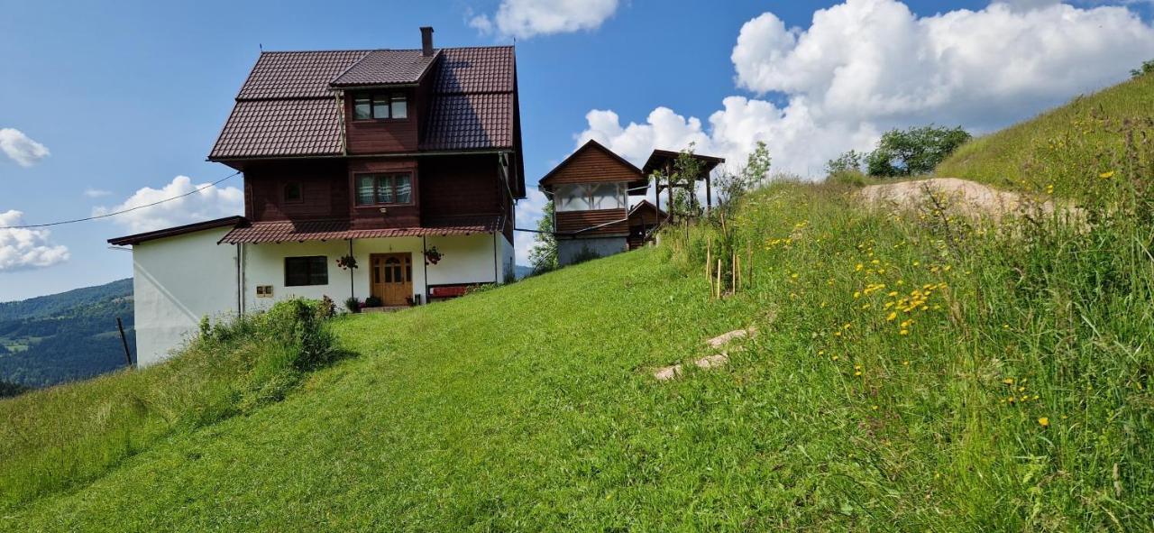 Pensiunea Amalia Gîrda de Sus Exterior foto