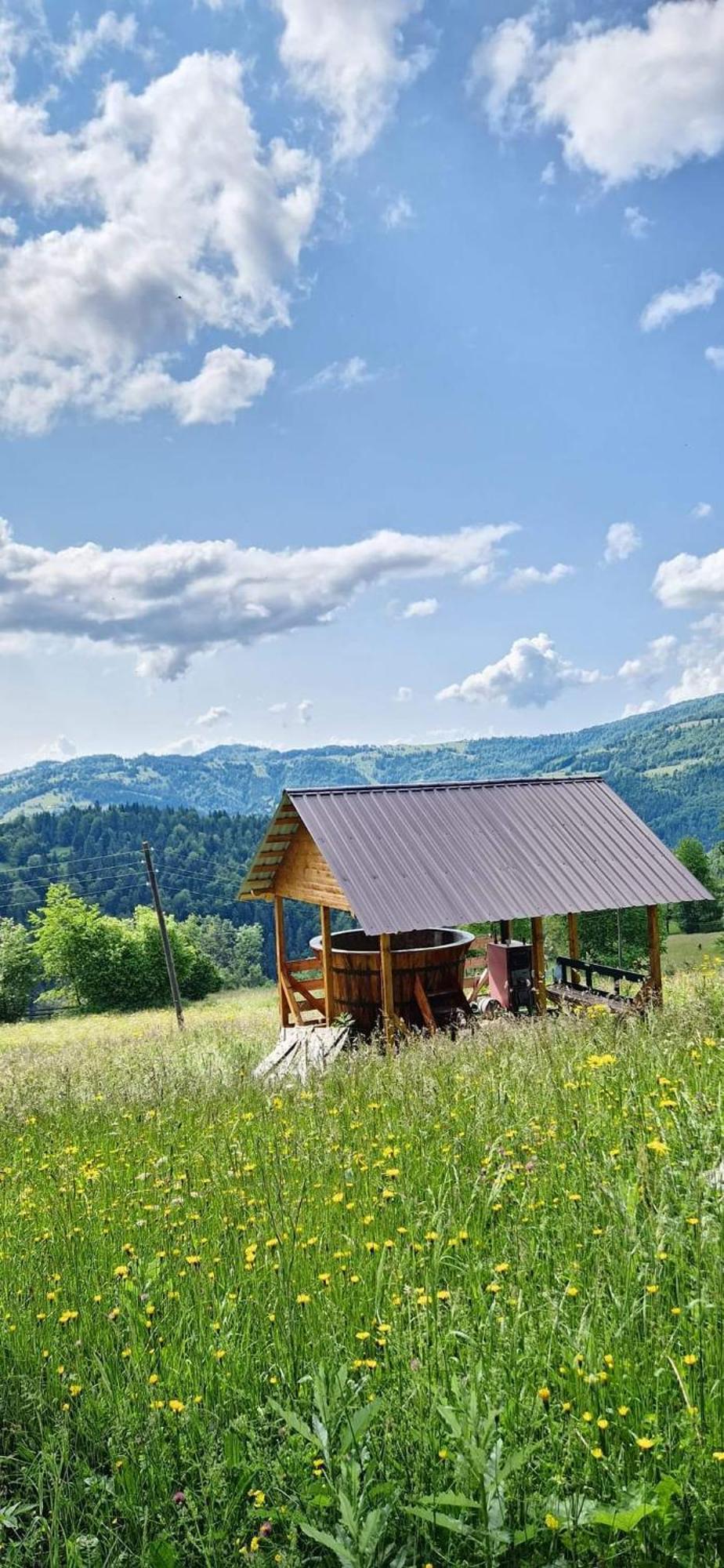 Pensiunea Amalia Gîrda de Sus Exterior foto